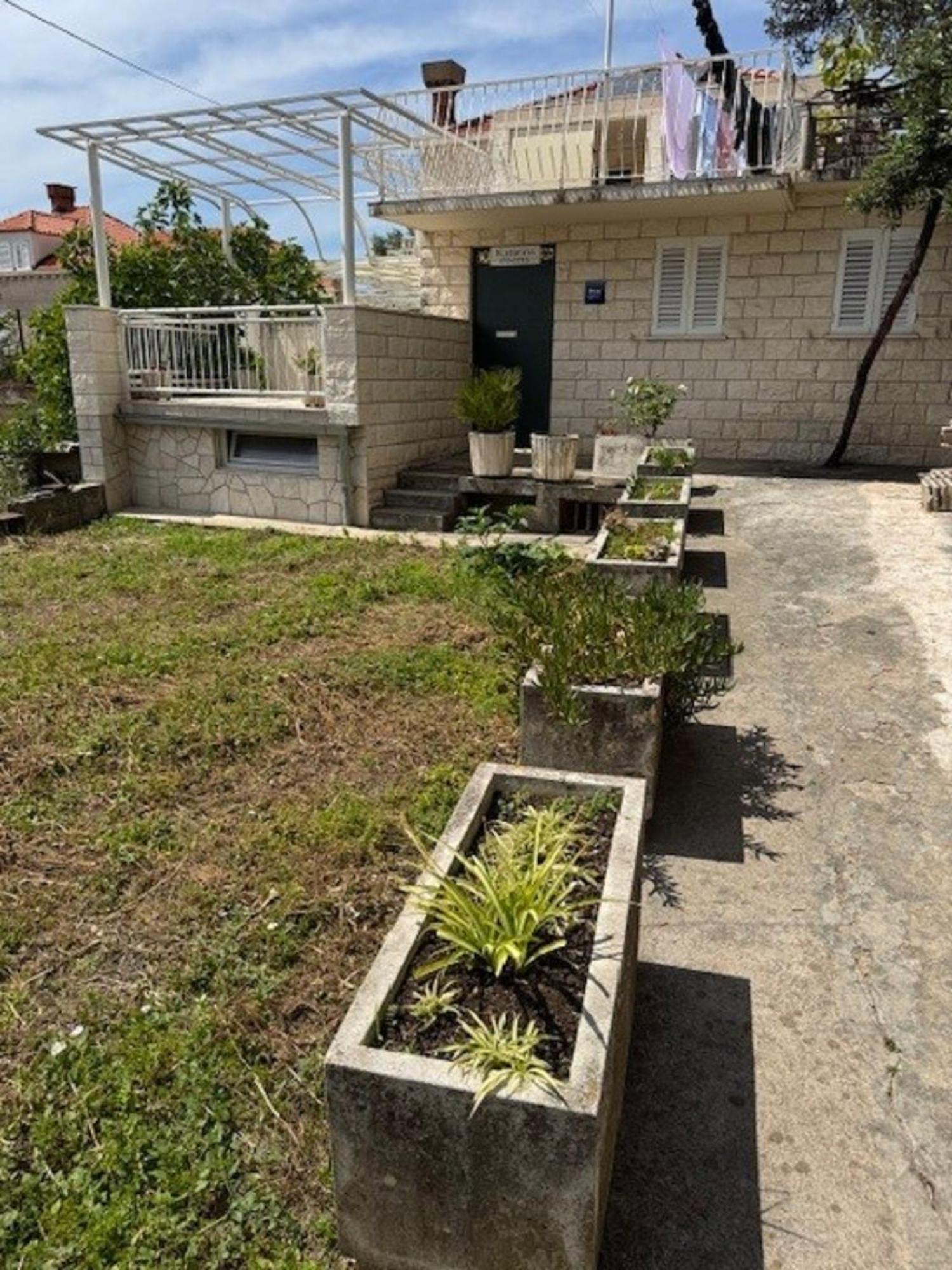 Guest house Katarina 3*